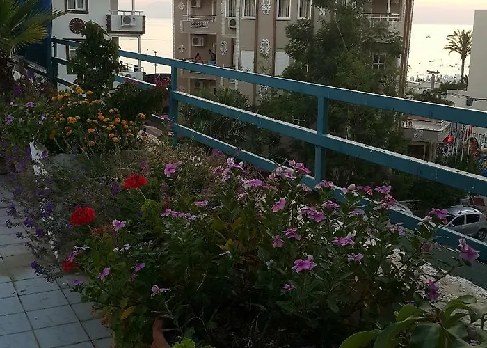 Delphin Готель 3*