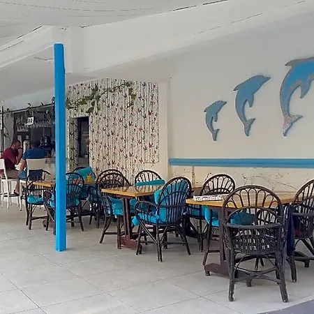 Delphin Side