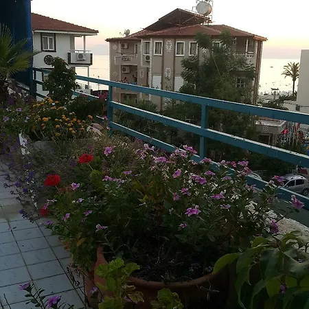 Delphin Hotel 3*